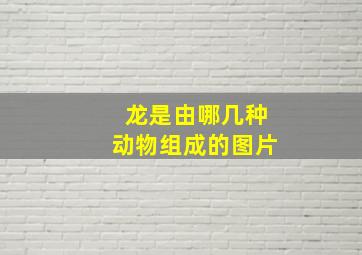 龙是由哪几种动物组成的图片